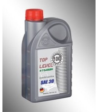 Специальное масло Professional 100 Hundert Top Level 4-T Garden 30W 1л