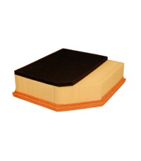 Фильтр воздушный FILTRON AP 165/5 Фильтр воздушный FILTRON AP 165/5