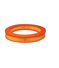 Фильтр воздушный FILTRON AR 210 Фильтр воздушный FILTRON AR 210
